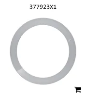 AGCO 377923X1 Шайба