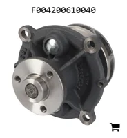 AGCO F004200610040 Водяной насос
