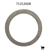 AGCO 71312668 Шайба