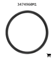 AGCO 3474960M1 Уплотнительное кольцо золотника