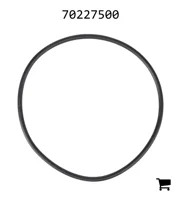 AGCO 70227500 Уплотнительное кольцо