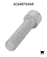 AGCO ACW4076460 Винт с шестигранной головкой