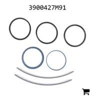 AGCO 3900427M91 Комплект прокладок шарнира