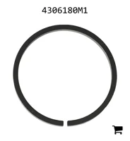 AGCO 4306180M1 Сегмент