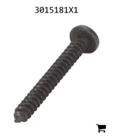 AGCO 3015181X1 Саморез