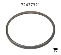 AGCO 72437321 Маслосборная пластина