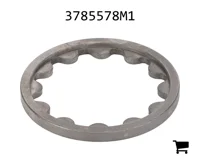 AGCO 3785578M1 Стопорная шайба