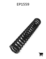 AGCO EP1559 Пружина