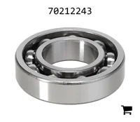 AGCO 70212243 Цилиндрический шариковый подшипник