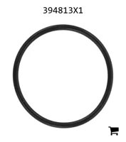 AGCO 394813X1 Уплотнительное кольцо