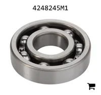 AGCO 4248245M1 Шариковый подшипник