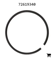 AGCO 72619340 Стопорное кольцо
