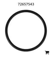 AGCO 72657543 Уплотнительное кольцо