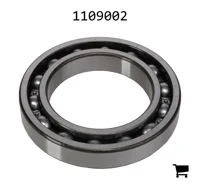 AGCO 1109002 Цилиндрический шариковый подшипник