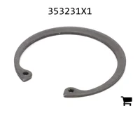 AGCO 353231X1 Стопорное кольцо