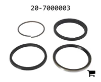 AGCO 20-7000003 Комплект сальников