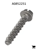 AGCO AG052251 Винт