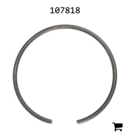 AGCO 107818 Замок