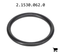 AGCO 2.1530.062.0 Уплотнительное кольцо