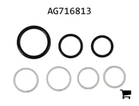 AGCO AG716813 Комплект уплотнительных колец