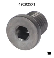 AGCO 402825X1 Заглушка с головкой под ключ