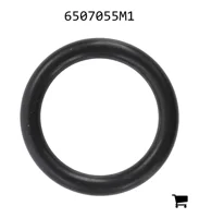 AGCO 6507055M1 Кольцо