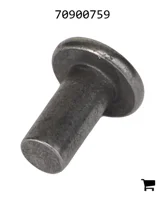 AGCO 70900759 Заклепка с плоской головкой