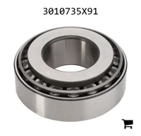 AGCO 3010735X91 Подшипниковый узел