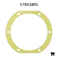 AGCO 578910M1 Шайба