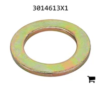 AGCO 3014613X1 Плоская шайба