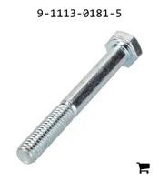 AGCO 9-1113-0181-5 Болт с шестигранной головкой