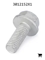 AGCO 3012152X1 Болт с шестигранной головкой и фланцем