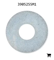 AGCO 3905255M1 Уплотнительная шайба крышки головки цилиндра