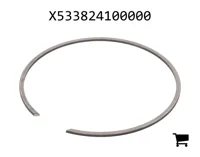 AGCO X533824100000 Стопорная шайба