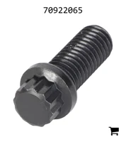 AGCO 70922065 Болт с шестигранной головкой