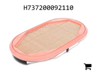 AGCO H737200092110 Предохранительный воздушный фильтр