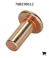 AGCO 700190612 Заклепка с плоской головкой