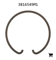 AGCO 3816549M1 Кольцо