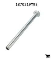 AGCO 1870219M93 Вал