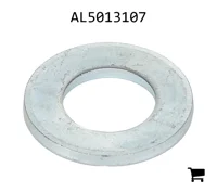 AGCO AL5013107 Шайба