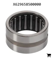 AGCO X629658500000 Игольчатый подшипник