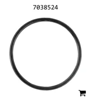 AGCO 7038524 Уплотнительное кольцо