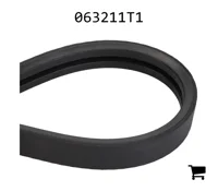 AGCO 063211T1 Ремень