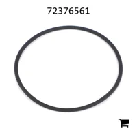 AGCO 72376561 Уплотнительное кольцо гидравлического фильтра