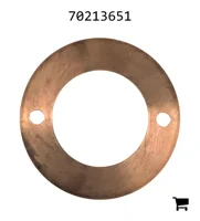 AGCO 70213651 Шайба