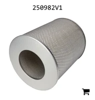 AGCO 250982V1 Фильтр