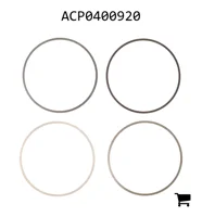 AGCO ACP0400920 Шайба