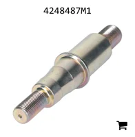 AGCO 4248487M1 Вал