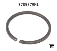 AGCO 3785579M1 Стопорное кольцо