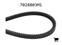 AGCO 7028803M1 Ремень